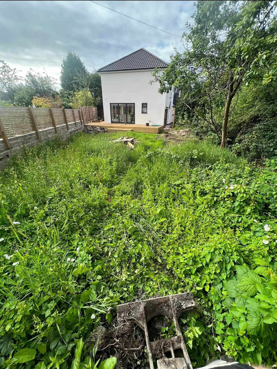 Before: bare soil garden behind a house
